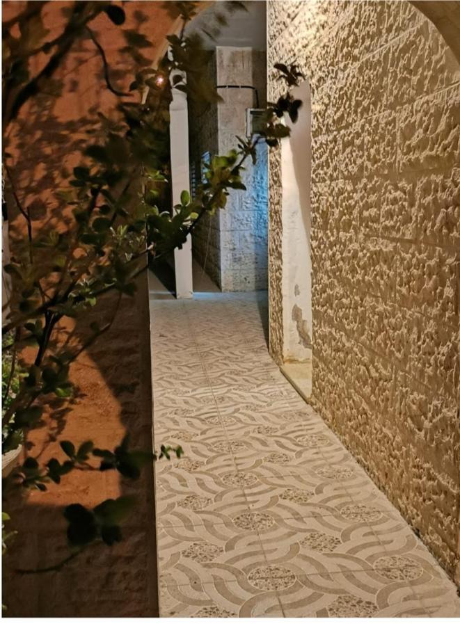 Orchid Apartment Wadi Musa Exteriör bild